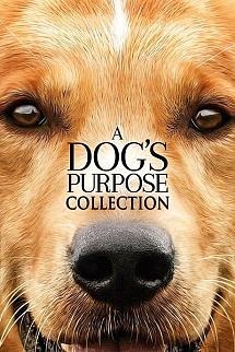 A Dog's Purpose poster