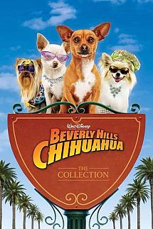Beverly Hills Chihuahua poster