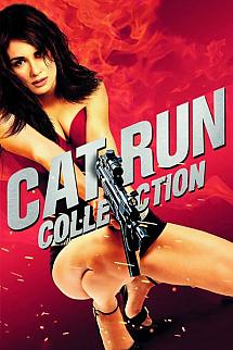 Cat Run poster
