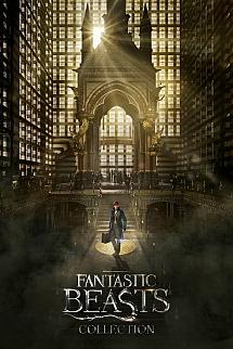 Fantastik Canavarlar poster