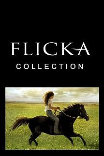 Flicka poster