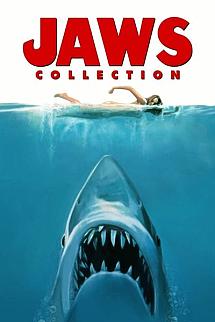 Jaws poster