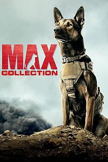 Max poster
