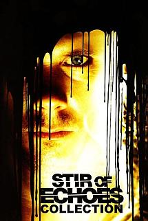 Stir of Echoes poster