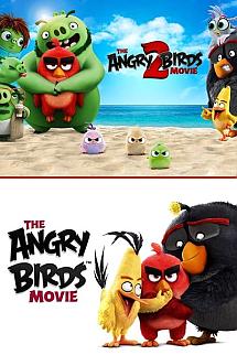 The Angry Birds poster