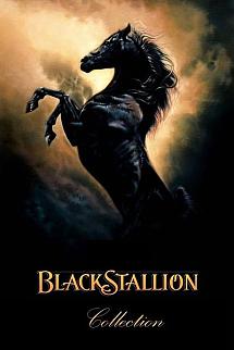 The Black Stallion - The Black Stallion