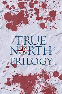 True North poster