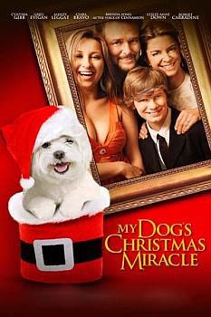 Köpeğimin Noel Mucizesi