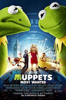 Muppets Aranıyor
