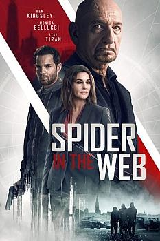 Ağdaki Örümcek