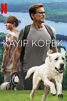 Kayıp Köpek izle