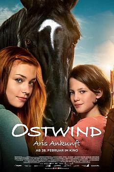 Windstorm 4: Ari'nin Gelişi